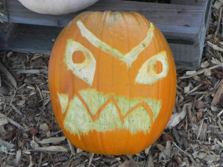 Watch It's Friend, Nipomo Pumpkin Patch best carving idea